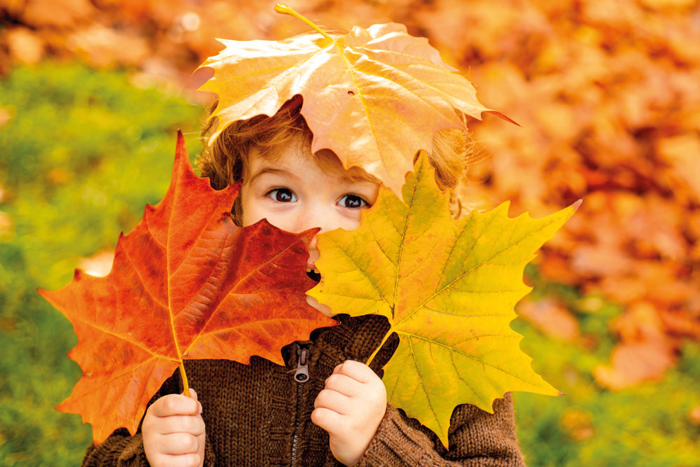 shutterstock_1797057514 shutterstock_1797057514